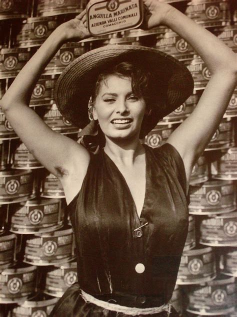 poster sophia loren|sophia loren poster art.